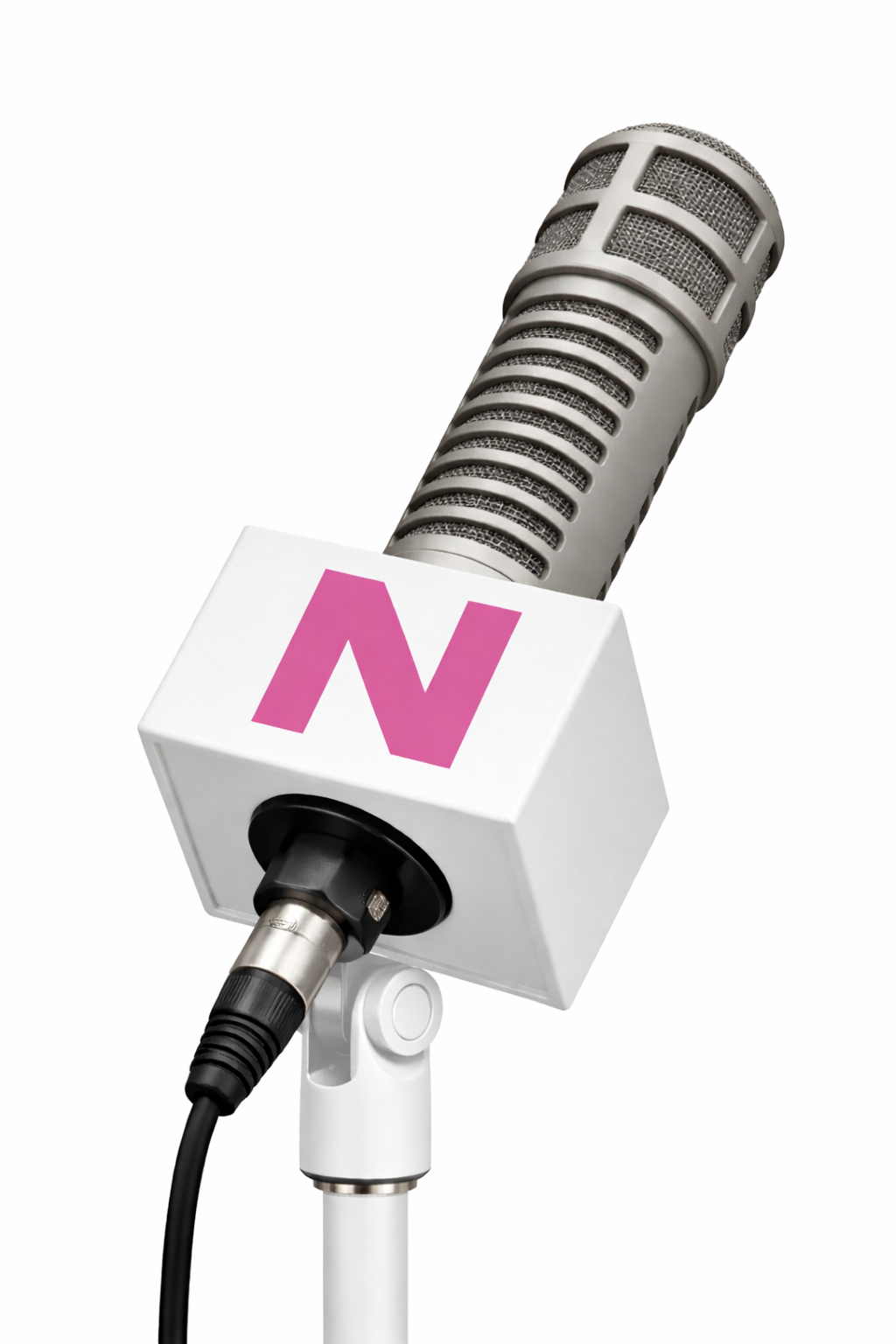 Custom Electrovoice RE20 Microphone Flag