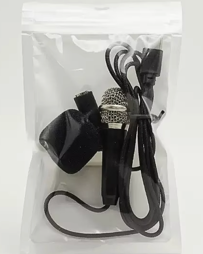 Chief Swag Officer USB-C Mini Mic