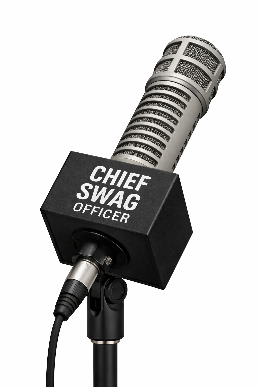 Custom Electrovoice RE20 Microphone Flag