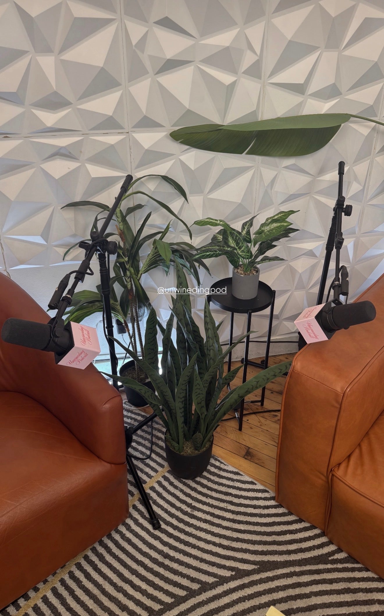 Custom Shure SM7B/SM7 Microphone Flag